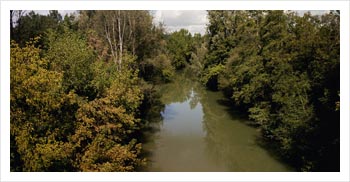 River cruise Charente