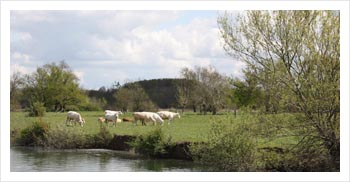 cruise Charente